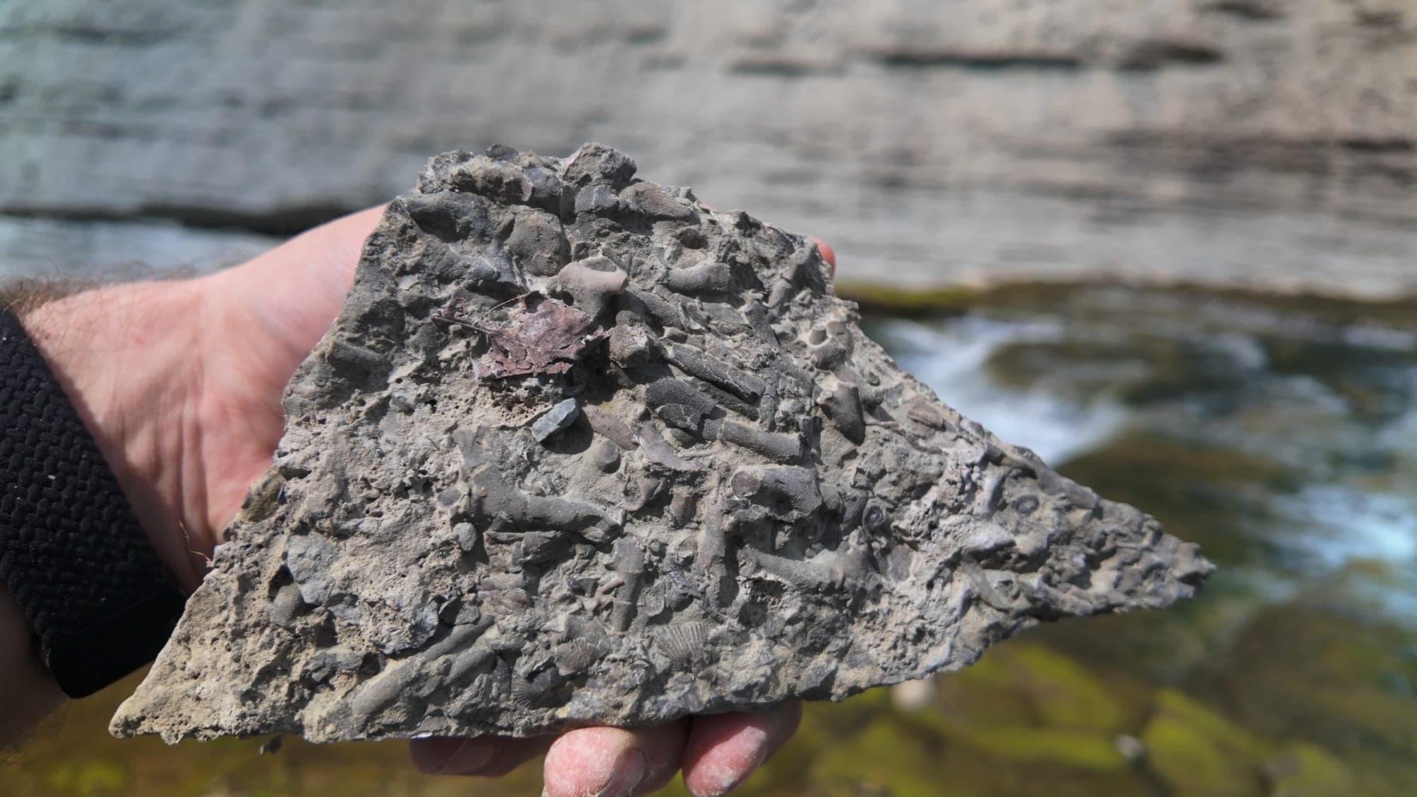 Cowan Lake: There Are Twenty Burial Mounds at the Bottom of This Lake