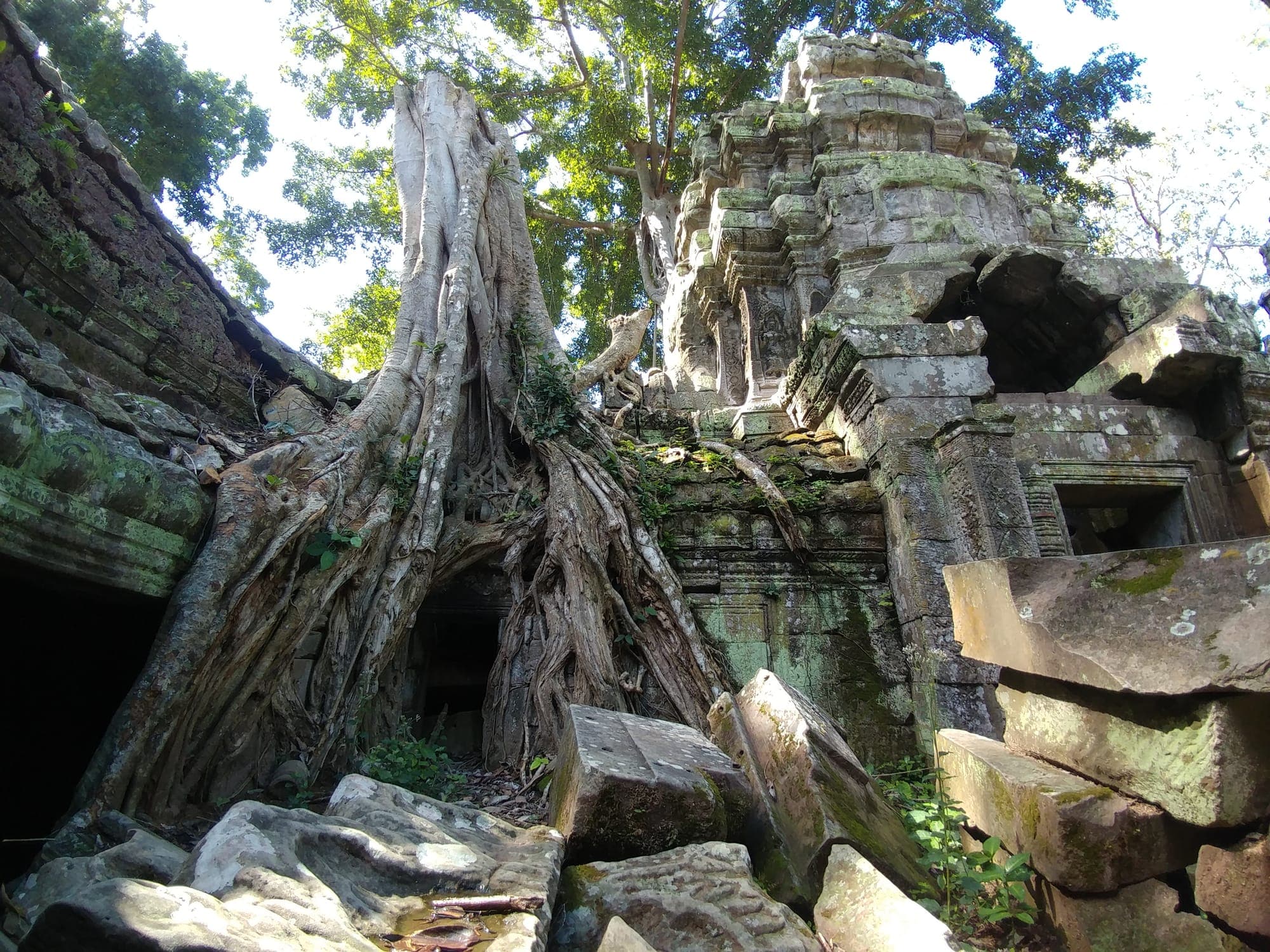 Ta Prohm, Cambodia