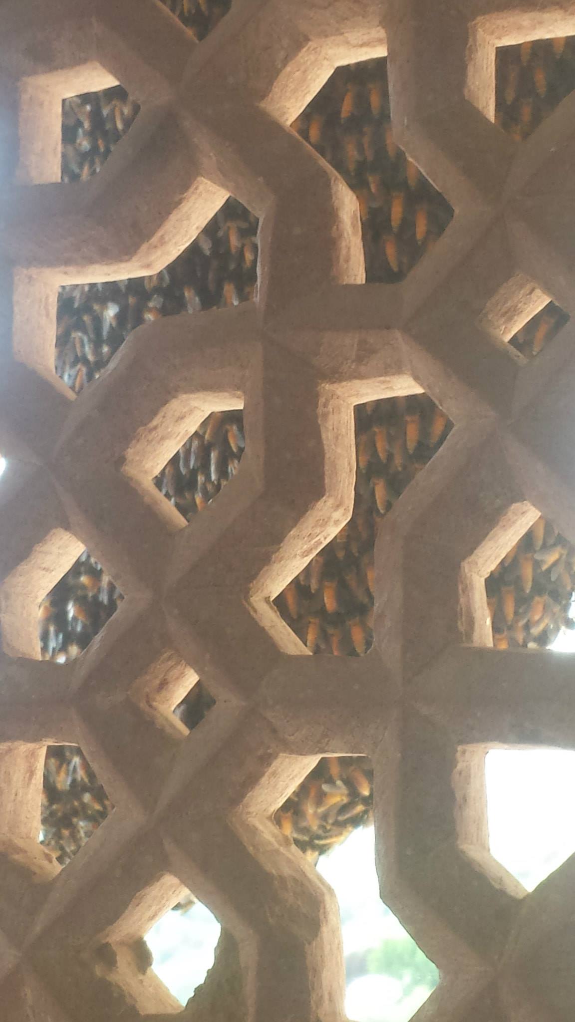 The beehive — the brightest yellow bees I've ever seen, pulsing on the outer fort wall