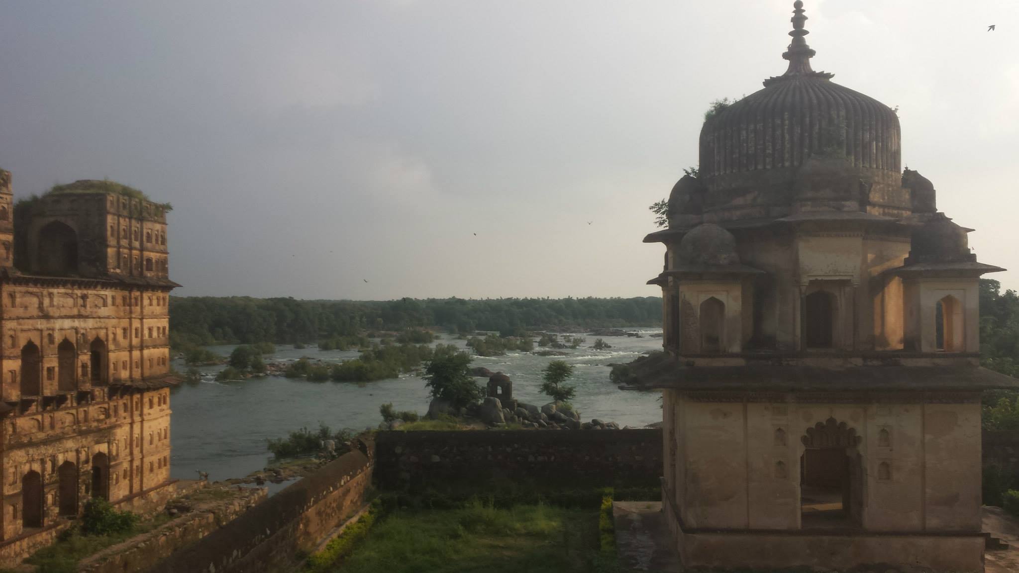 The fort complex at Orchha — palaces left alone when the capital moved, slowly becoming ruins
