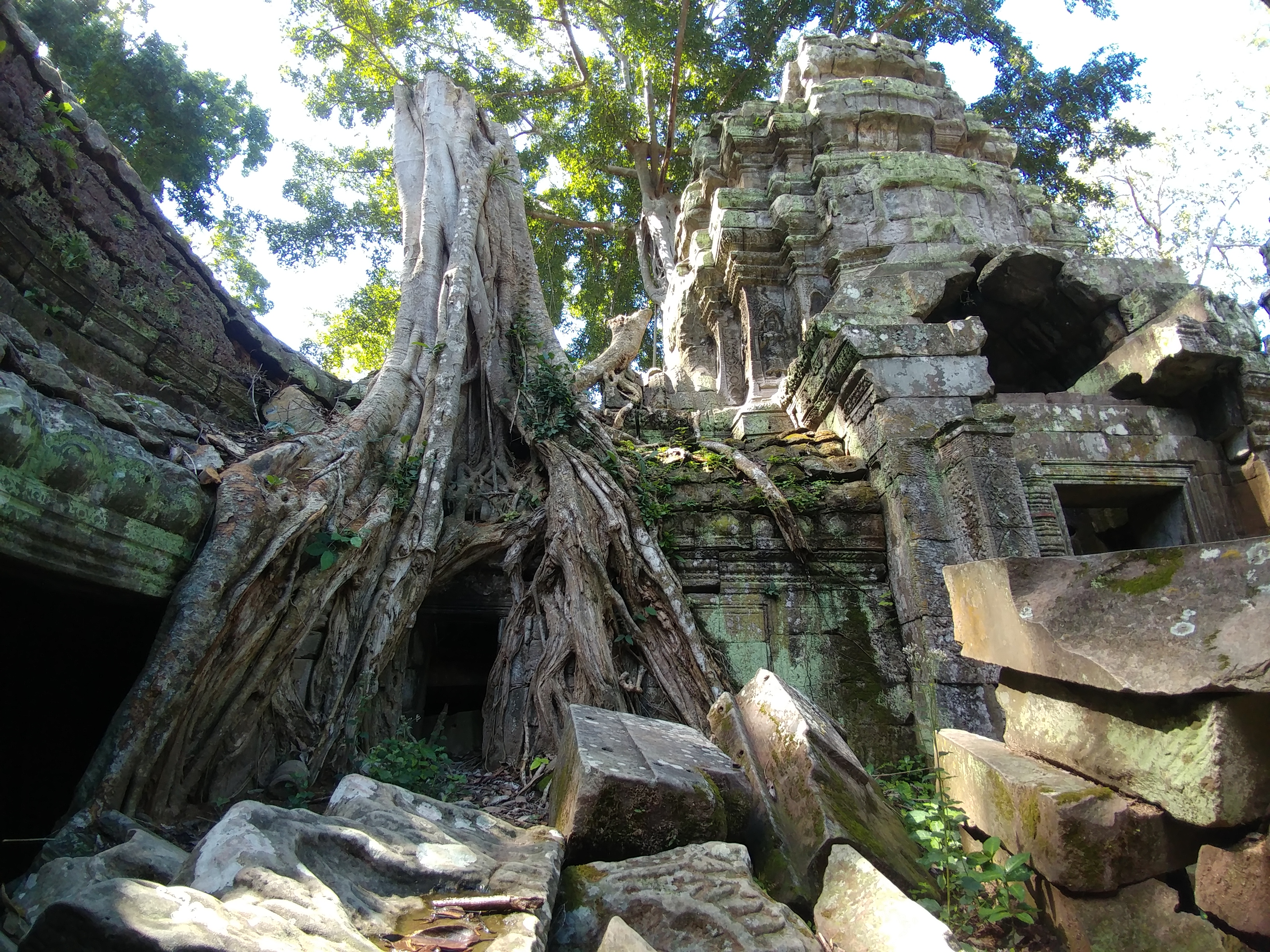 Ta Prohm, Cambodia